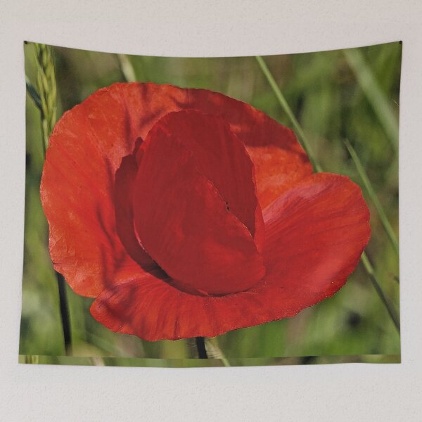 Item preview, r 2550/   3 "  Un Coeur de Coquelicot " par Okaio Créations   Olavia&Olao designed and sold by o.okaïo.