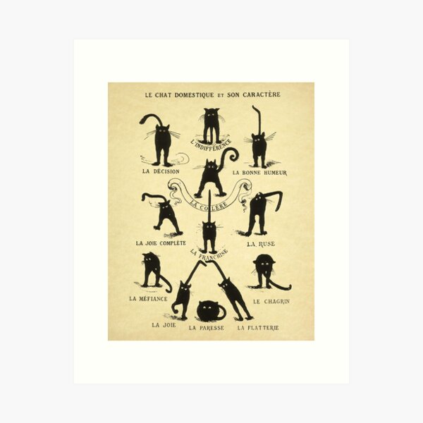Item preview, Le chat Domestique Et Son Caractere designed and sold by angla vargzt.