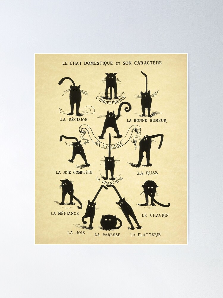 Poster for Sale avec l uvre Le chat Domestique Et Son Caractere