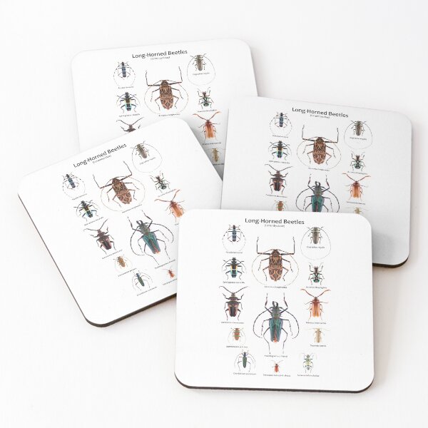 Item preview, Long-Horned beetles (Cerambycidae) designed and sold by Tim Christensen.