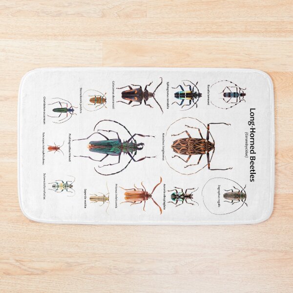 Item preview, Long-Horned beetles (Cerambycidae) designed and sold by Tim Christensen.