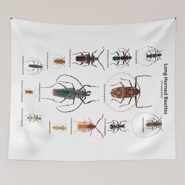 Item preview, Long-Horned beetles (Cerambycidae) designed and sold by Tim Christensen.