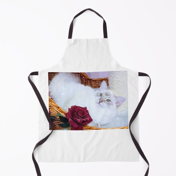 Item preview, Saoirse ragdoll designed and sold by Fluffycat2020.