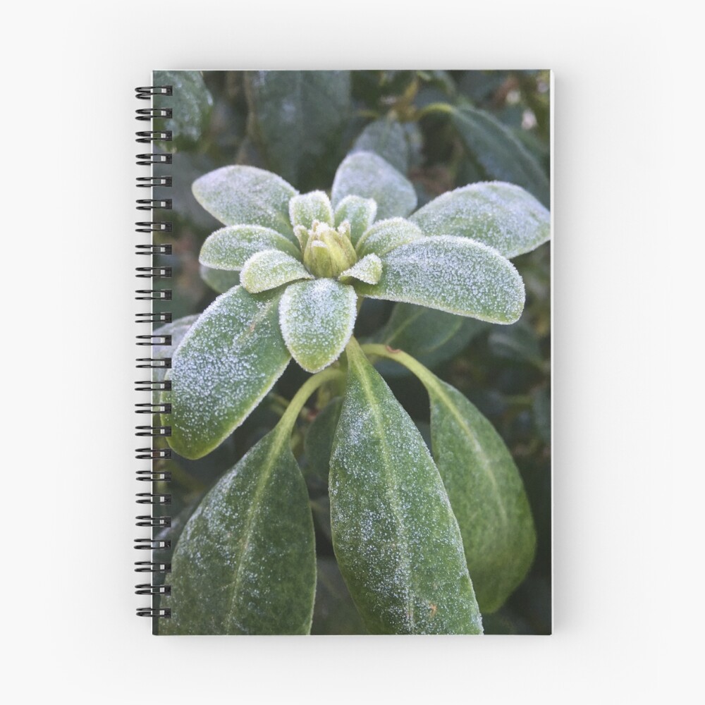 Vista previa del artículo con la obra «Cuaderno de espiral», diseñado y vendido por RDLT.