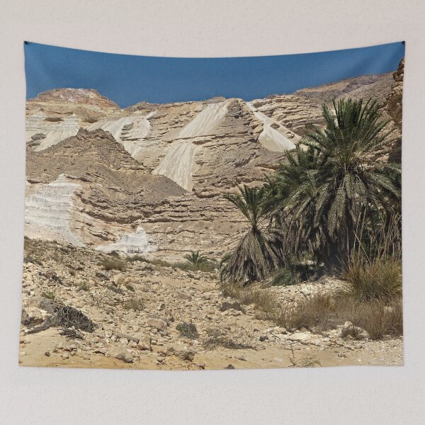 Item preview, Palm Trees Cliff Desert Oasis  Landscape, Oman designed and sold by worldways.