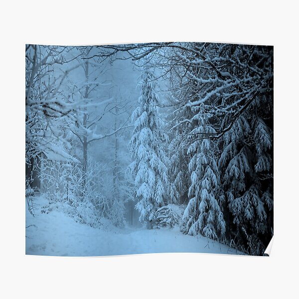 Beautiful snowy evening Poster