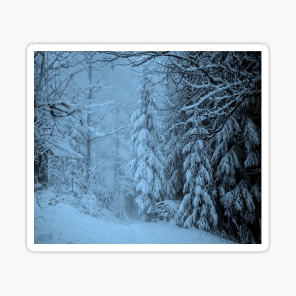 Beautiful snowy evening Sticker