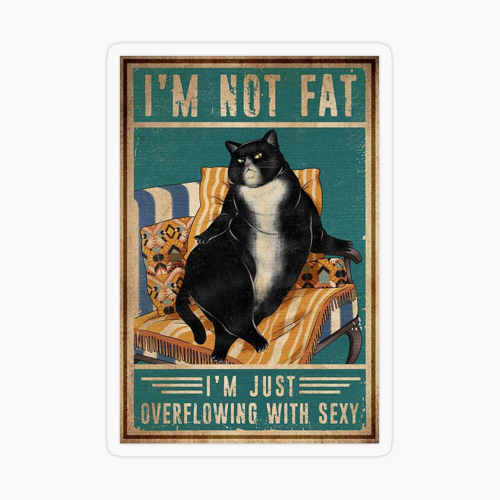 Iam Not Fat Iam Just Overflowing With Sexy