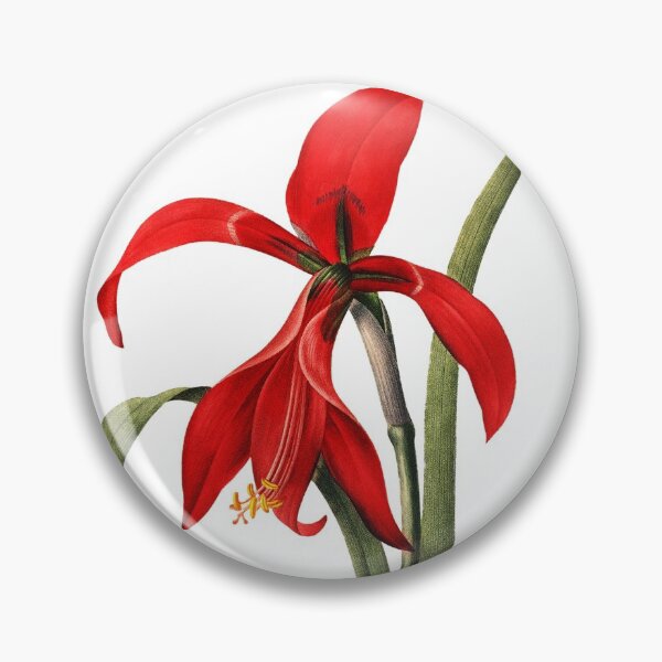 Item preview, Big Red Amaryllis Water Lily Vibrant Flower Vintage Retro Art Illustration designed and sold by HumanlineImages.