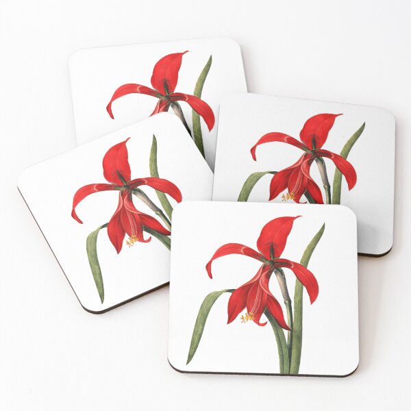 Item preview, Big Red Amaryllis Water Lily Vibrant Flower Vintage Retro Art Illustration designed and sold by HumanlineImages.