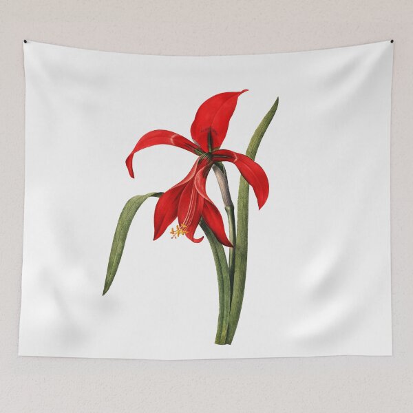 Item preview, Big Red Amaryllis Water Lily Vibrant Flower Vintage Retro Art Illustration designed and sold by HumanlineImages.