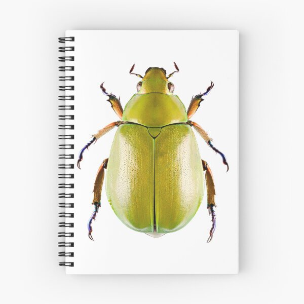 Item preview, Green Scarab Beetle (Chrysina beyeri) designed and sold by Tim Christensen.