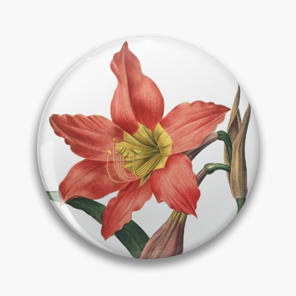 Item preview, Red Water Lily Vibrant Flower Vintage Retro Art Botanical Illustration designed and sold by HumanlineImages.