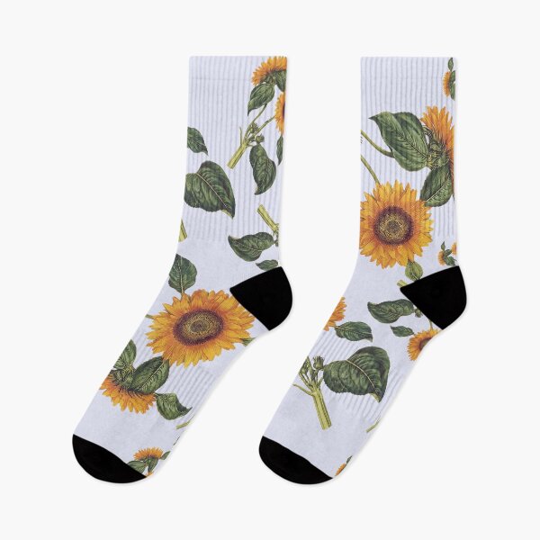 Item preview, Helianthus sunflower botanical garden botany fruit print art bloom floral print 8 Dec. 2020 designed and sold by domdjs4239.