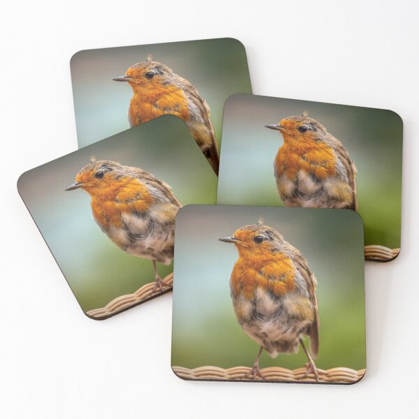 Item preview, Ragged Robin designed and sold by Viv Thompson Photography .
