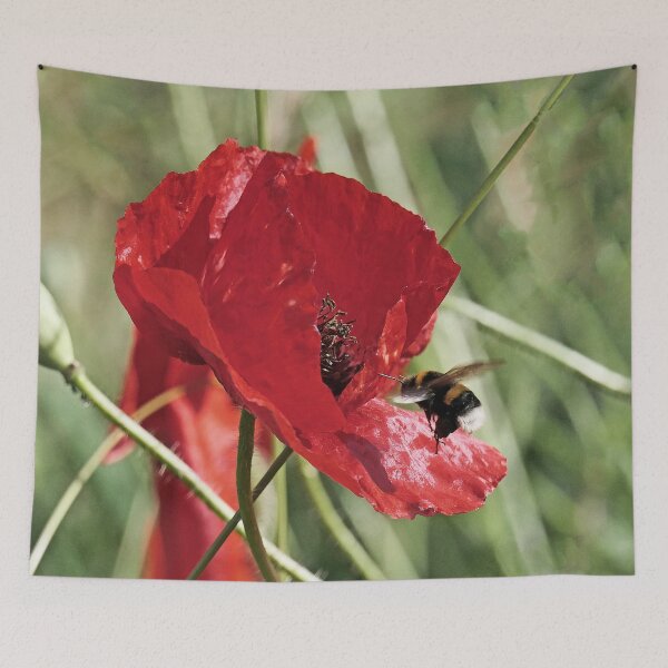 Item preview, r 2552/   5 "  Un Porte-insecte Coquelicot " Tour de contrôle ! attention... J'arrive ! " par Okaio Créations   Olavia&Olao designed and sold by o.okaïo.