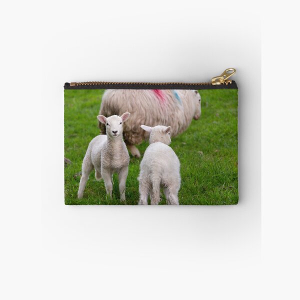 Item preview, Sheep designed and sold by jasminewang.