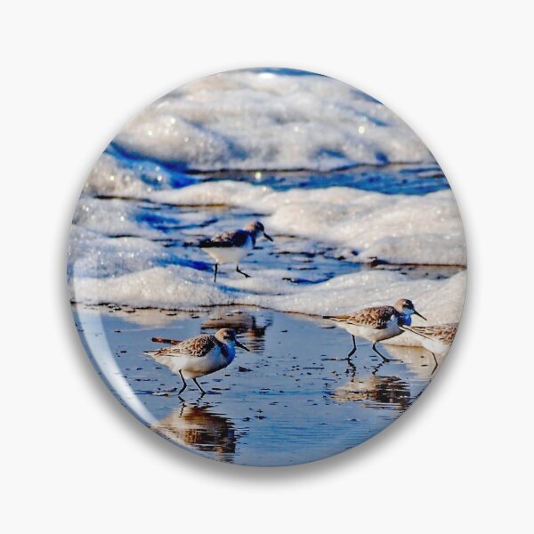 Item preview, Sanderlings and Surf designed and sold by Bryan Spellman.
