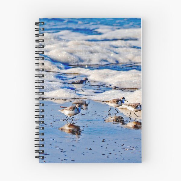 Item preview, Sanderlings and Surf designed and sold by Bryan Spellman.