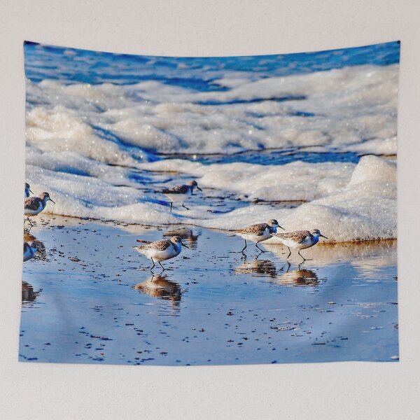 Item preview, Sanderlings and Surf designed and sold by Bryan Spellman.