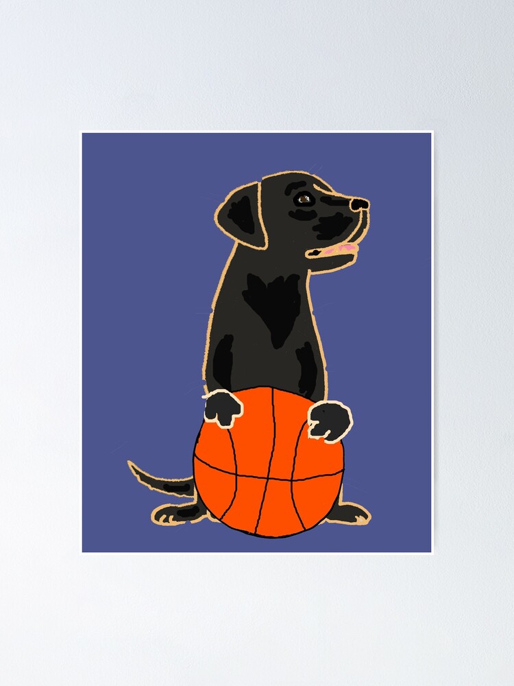 Bloquear enlace federación Póster «Perro perdiguero de labrador negro gracioso jugando baloncesto» de  naturesfancy | Redbubble