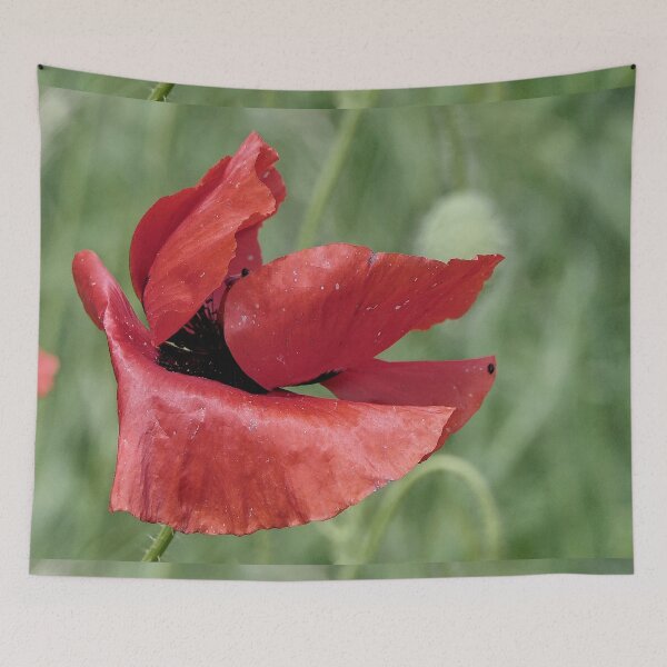 Item preview, r 2553/   6 "  un Coquelicot " Calibré comme un Vaisseau Spatial " par Okaio Créations   Olavia&Olao designed and sold by o.okaïo.