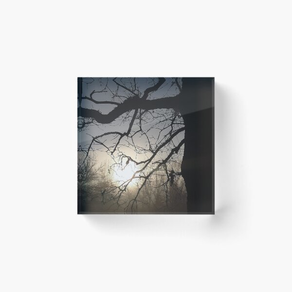 Item preview, Foggy and Dark sunrise with trees designed and sold by Lorie Data.