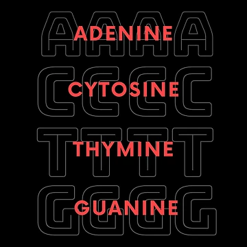 Artwork thumbnail, Genetic Code by DFMY