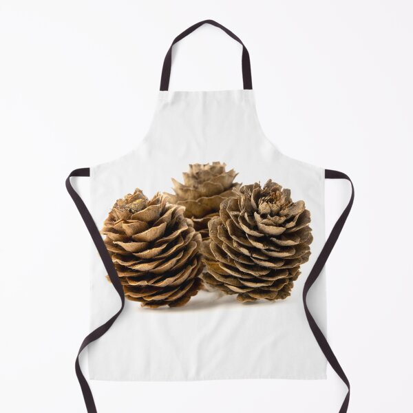 Item preview, Conifer cone designed and sold by troianifabrizio.