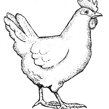 Chicken hen farm sketch hand drawn Royalty Free Vector Image
