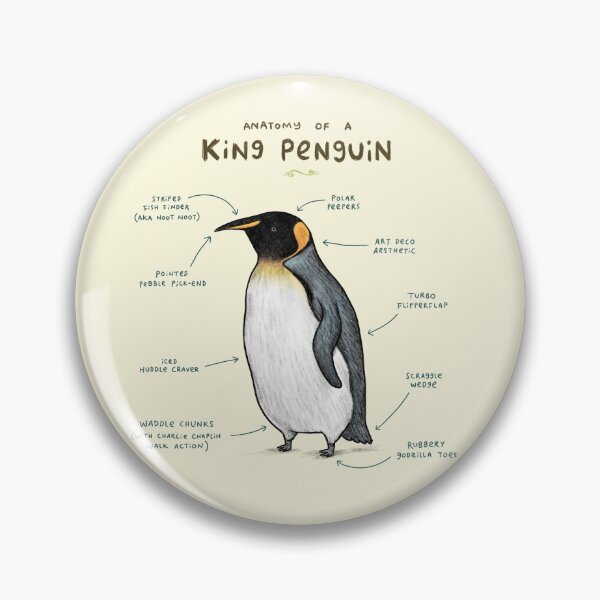 Item preview, Anatomy of a King Penguin designed and sold by SophieCorrigan.