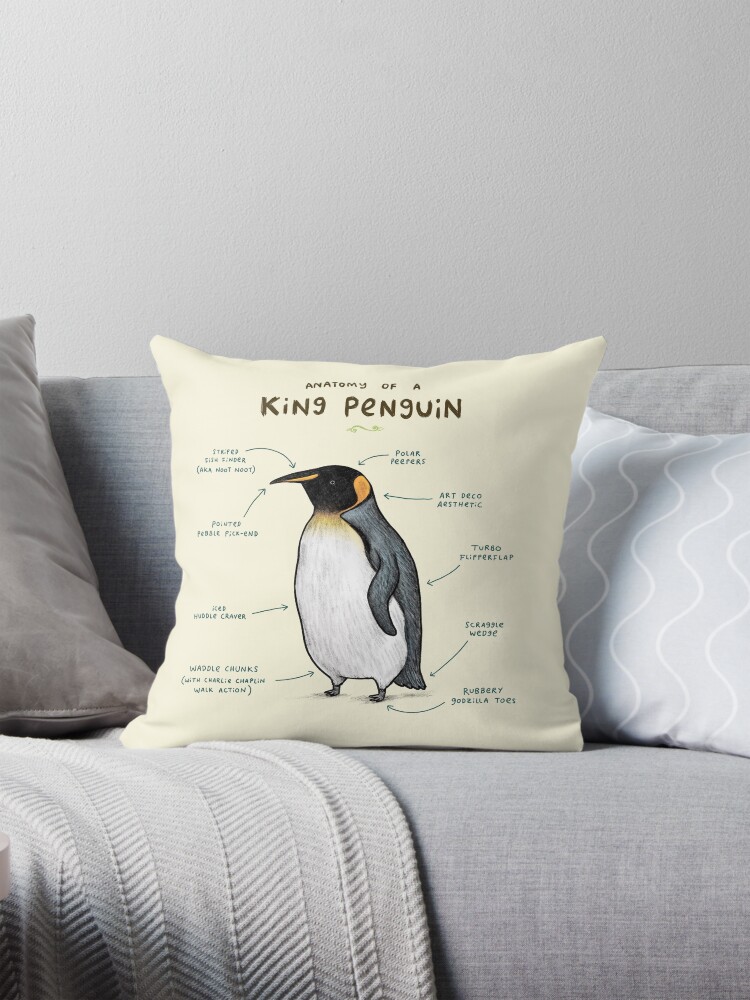 Anatomy of a King Penguin Pillow for Sale by Sophie Corrigan Redbubble