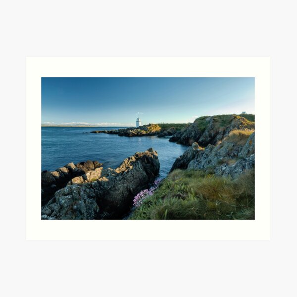 Warren lighthouse, Greencastle,Donegal Art Print