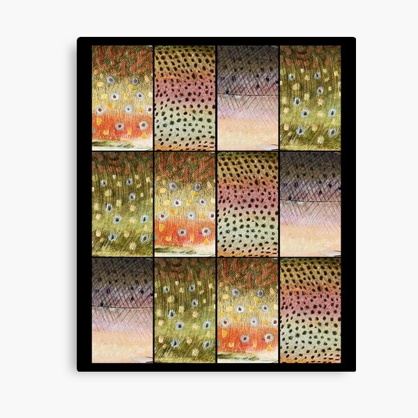 Trout Skin Scales for Fishing Lover Canvas Print