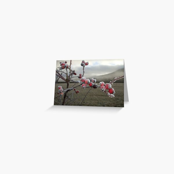 Frosty Rosehips - Foggy Morning Greeting Card