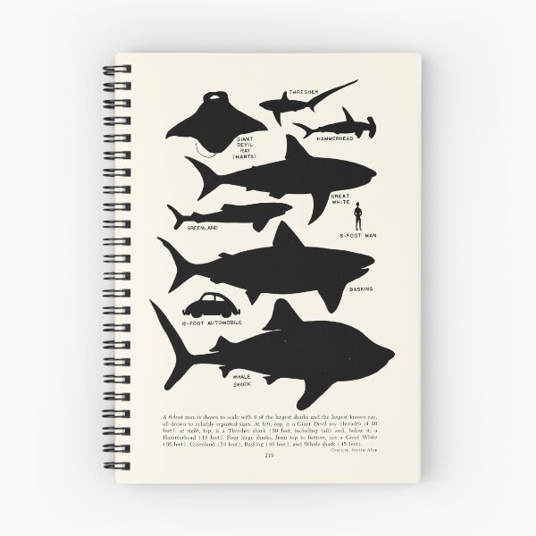 Item preview, 1963 Vintage Shark Size Comparison Chart designed and sold by bellatierra.