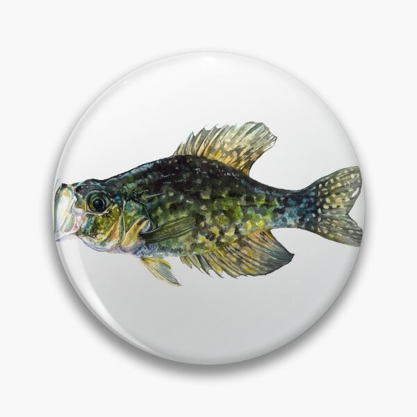 Item preview, Crappie designed and sold by shanssonart.