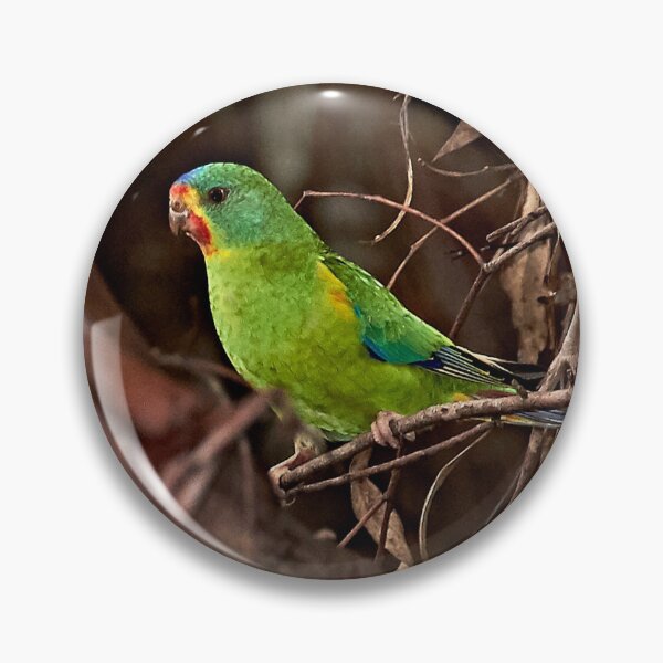Item preview, Swift Parrot ~ Critically Endangered designed and sold by Robert Elliott.