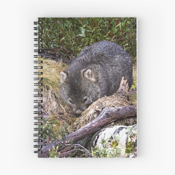 Item preview, Wombat designed and sold by Robert Elliott.