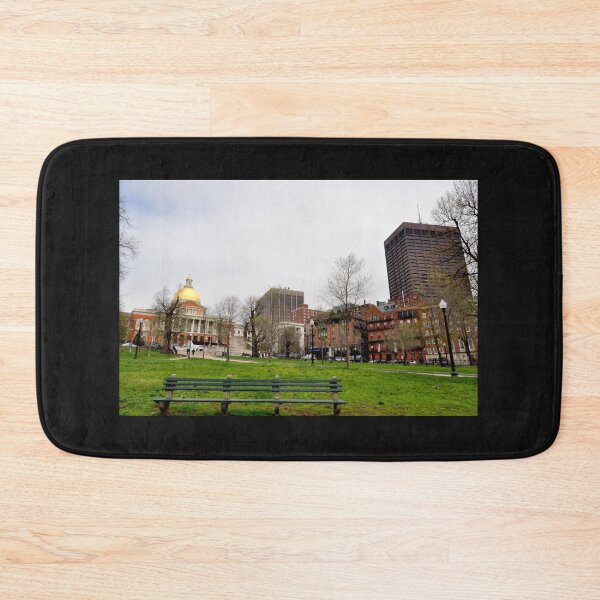Item preview, Boston Common View designed and sold by SLBigelow11.