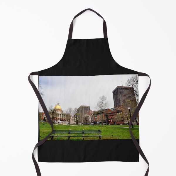 Item preview, Boston Common View designed and sold by SLBigelow11.