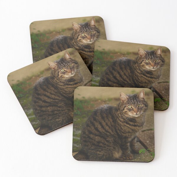 Item preview, Tabby street cat designed and sold by metin1331.