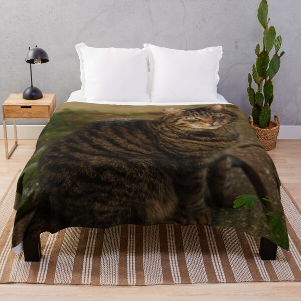 Item preview, Tabby street cat designed and sold by metin1331.