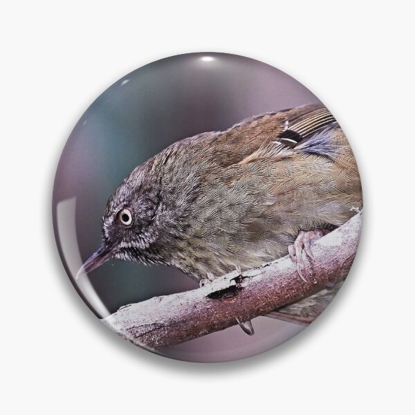 Item preview, Tasmanian Scrubwren designed and sold by Robert Elliott.