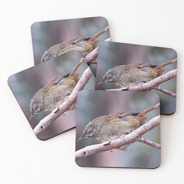 Item preview, Tasmanian Scrubwren designed and sold by Robert Elliott.