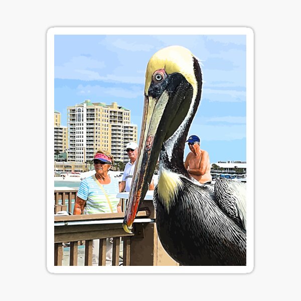 Riding the Pelican Sticker