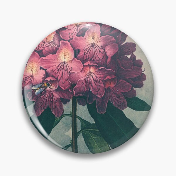 Item preview, The Pontic Rhododendron - Original Vintage Floral Design designed and sold by HumanlineImages.