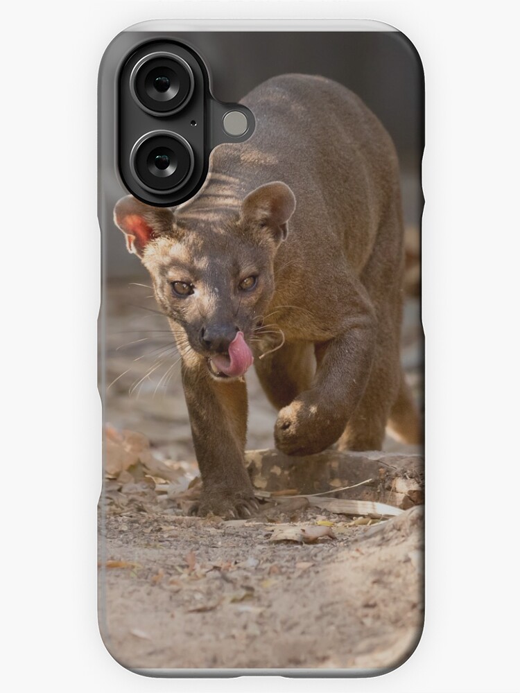 Thumbnail 1 of 4, iPhone Case, Prowling fossa designed and sold by dailyanimals.