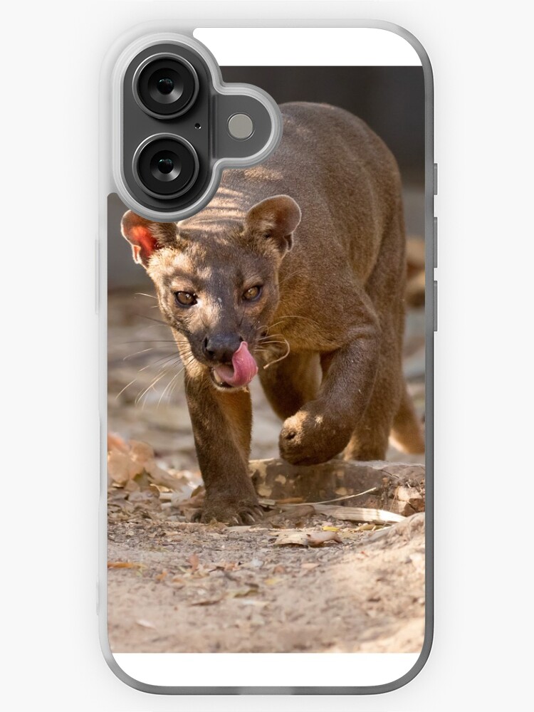 Thumbnail 1 of 5, iPhone Case, Prowling fossa designed and sold by dailyanimals.