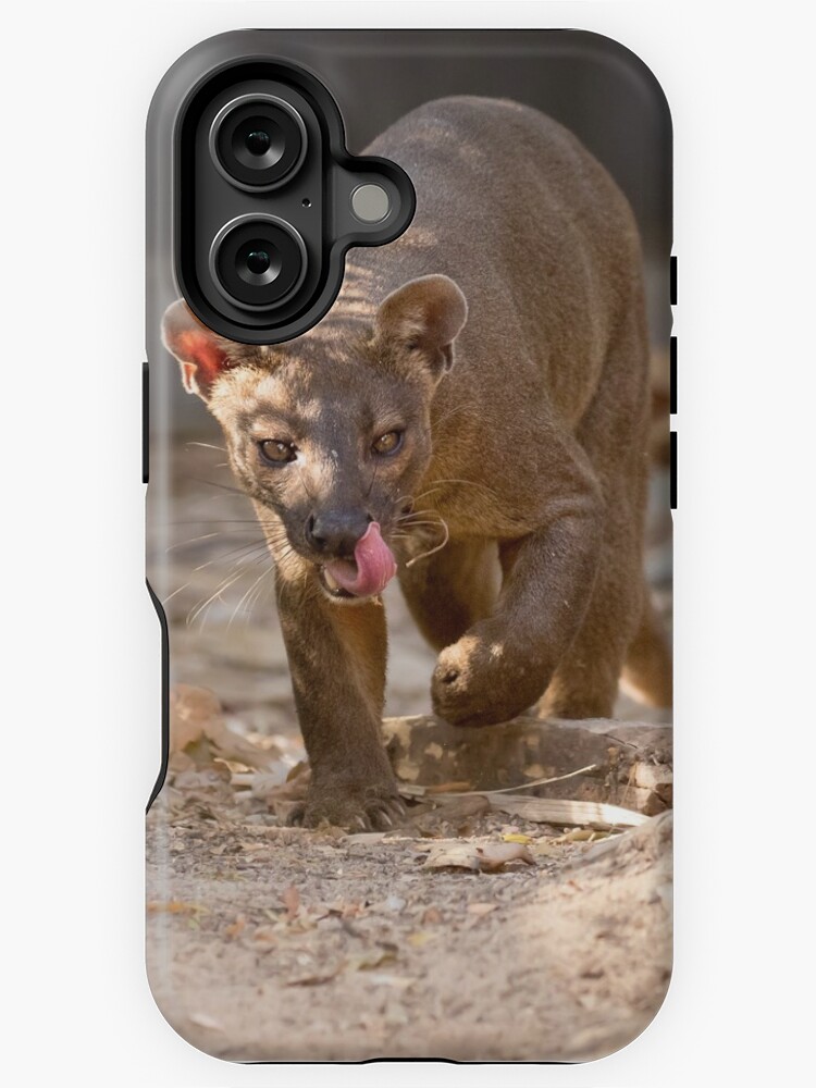 Thumbnail 1 of 4, iPhone Case, Prowling fossa designed and sold by dailyanimals.